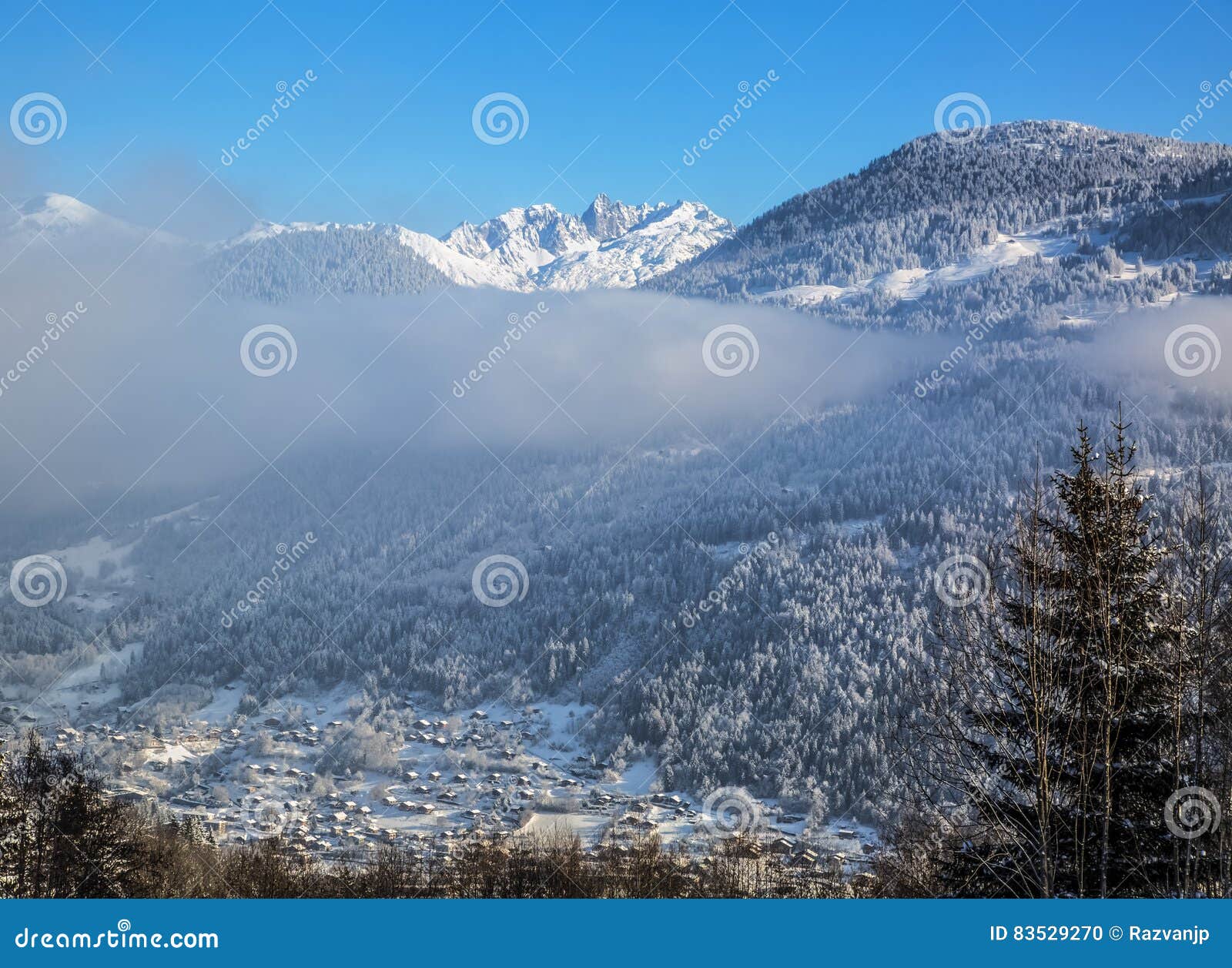 the alps in winter