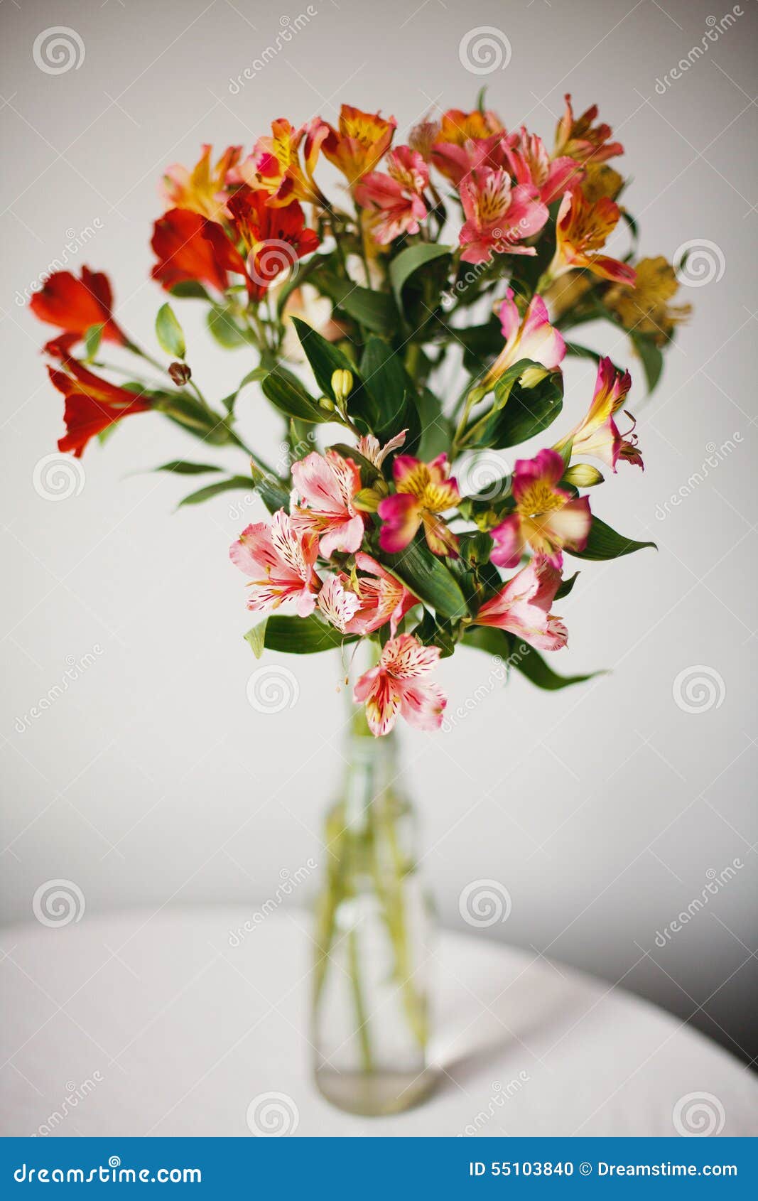 Alstroemeria Flowers in Vase Stock Photo Image of flowers, gift 55103840