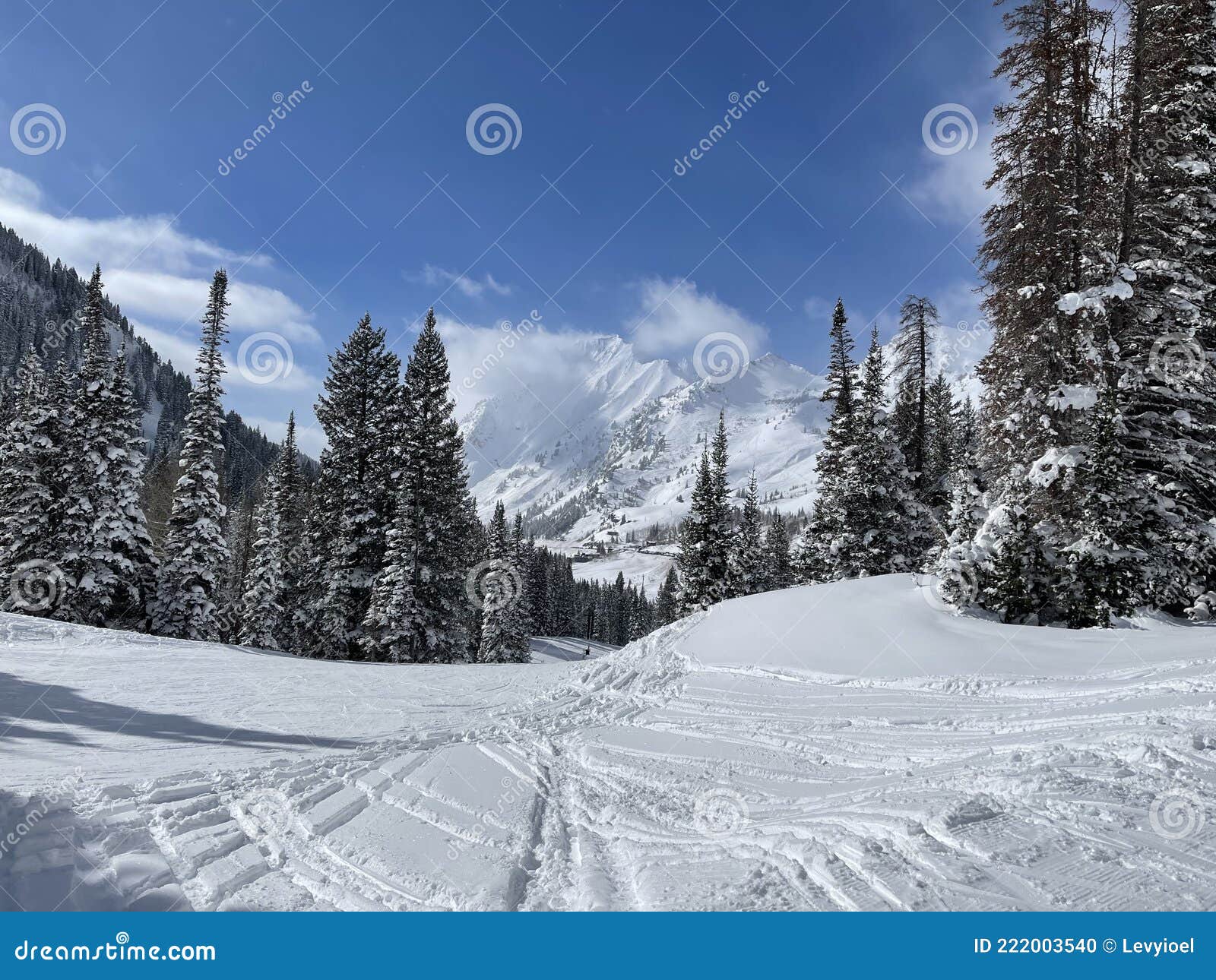 alta ski resort utah