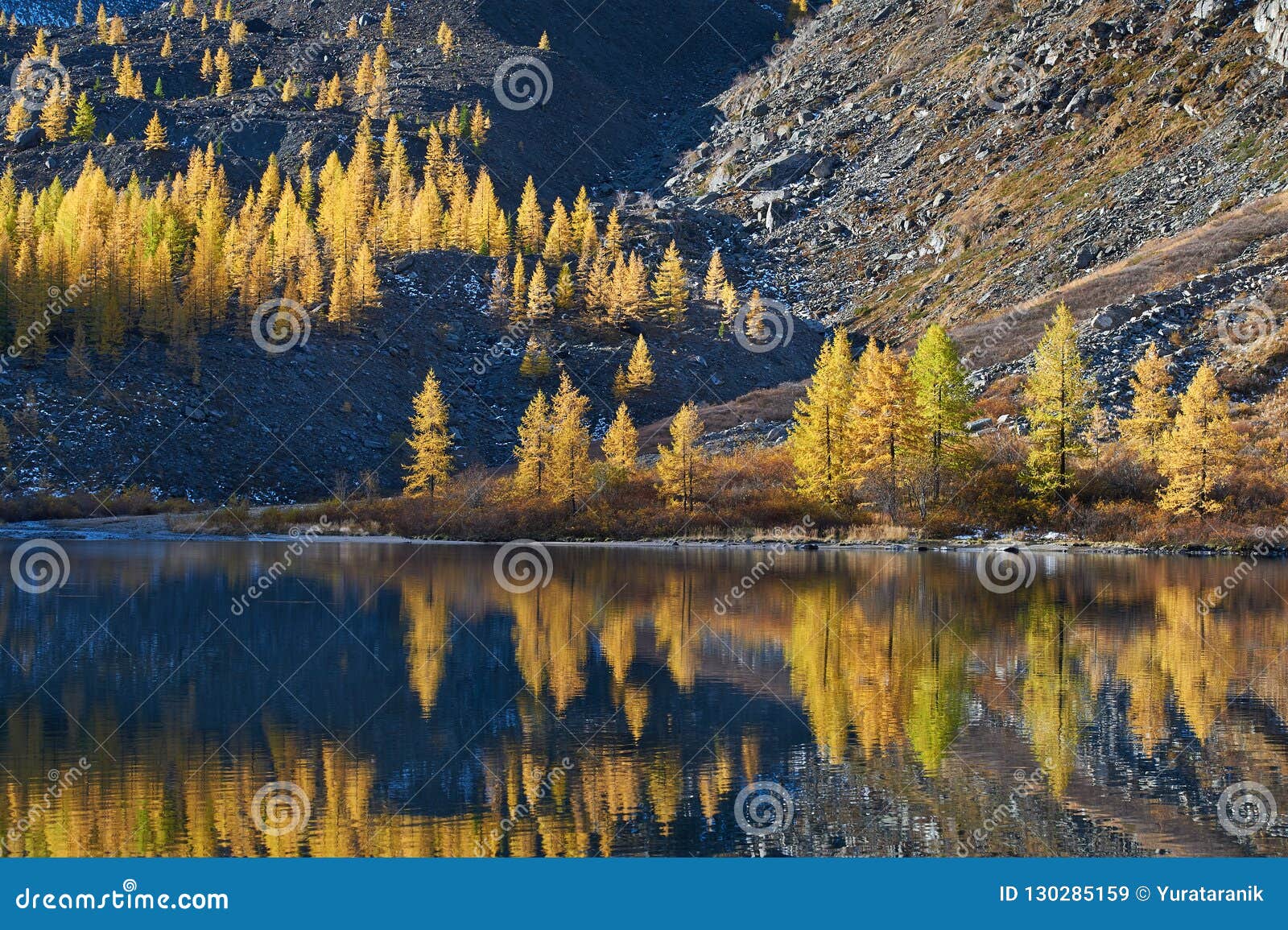 Altai Mountains Russia Siberia Stock Image Image Of Evening Altai