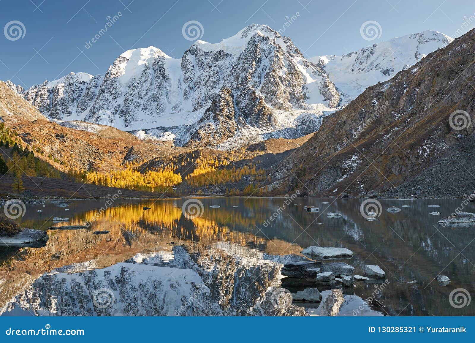 Altai Mountains Russia Siberia Stock Image Image Of Lake Pine