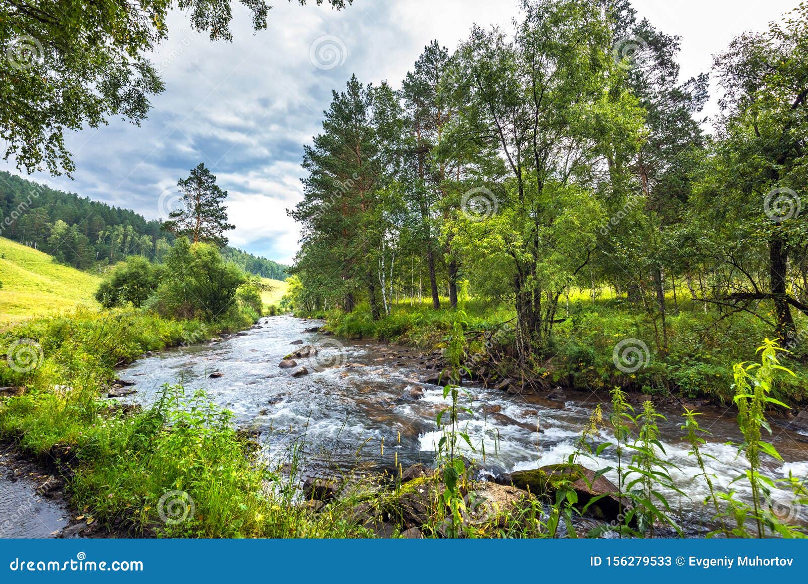 Altai River Kuyum Gorny Altai Siberia Russia Stock Image Image Of