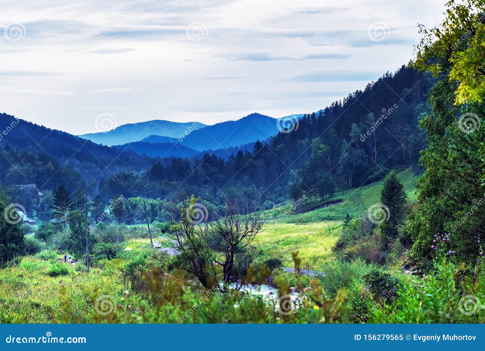 Altai River Kuyum Gorny Altai Siberia Russia Stock Image Image Of