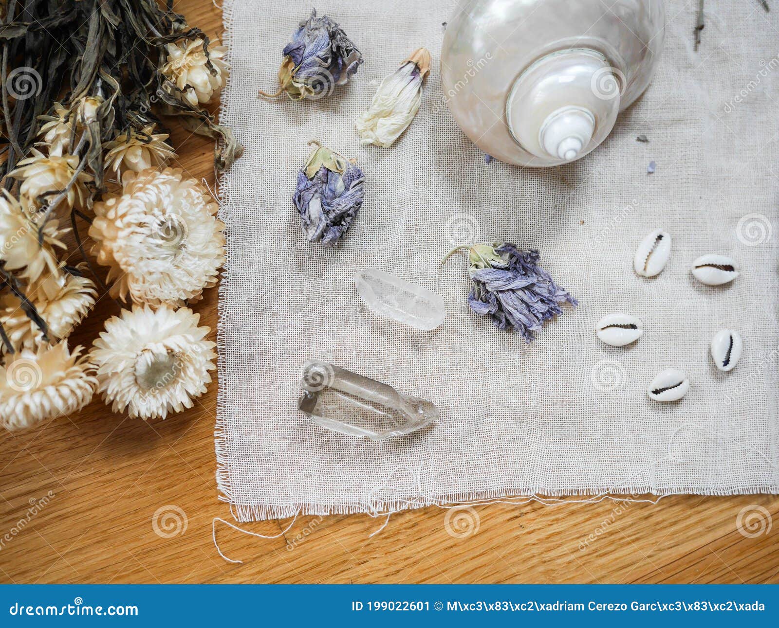 Altar To Perform Rituals with Shells, Dried Flowers and Crystals Stock
