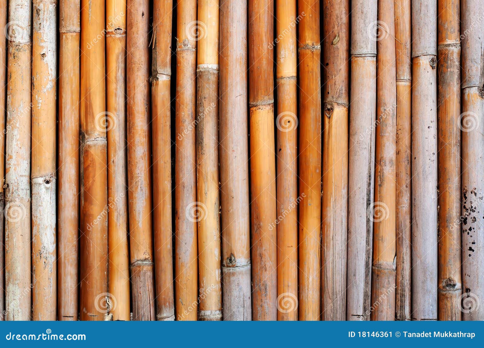 Alte Bambuswand stockbild. Bild von asiatisch, einfach