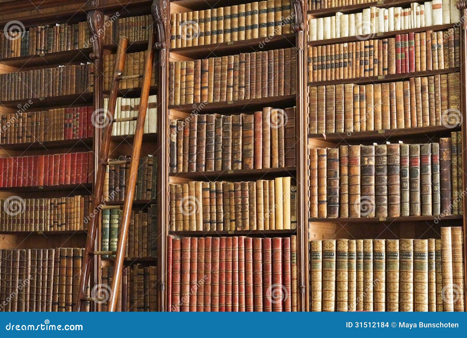 Alte Bibliothek Mit Leiter Stockfoto Bild Von Leiter