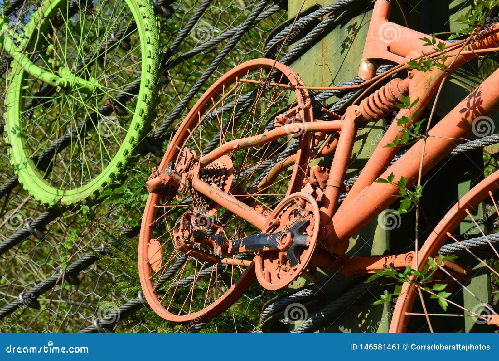 https://thumbs.dreamstime.com/z/alte-farbige-fahrr%C3%A4der-jetzt-vergessen-und-ein-seil-gehangen-die-leidenschaft-f-r-weinlese-moderne-fahrr-der-146581461.jpg