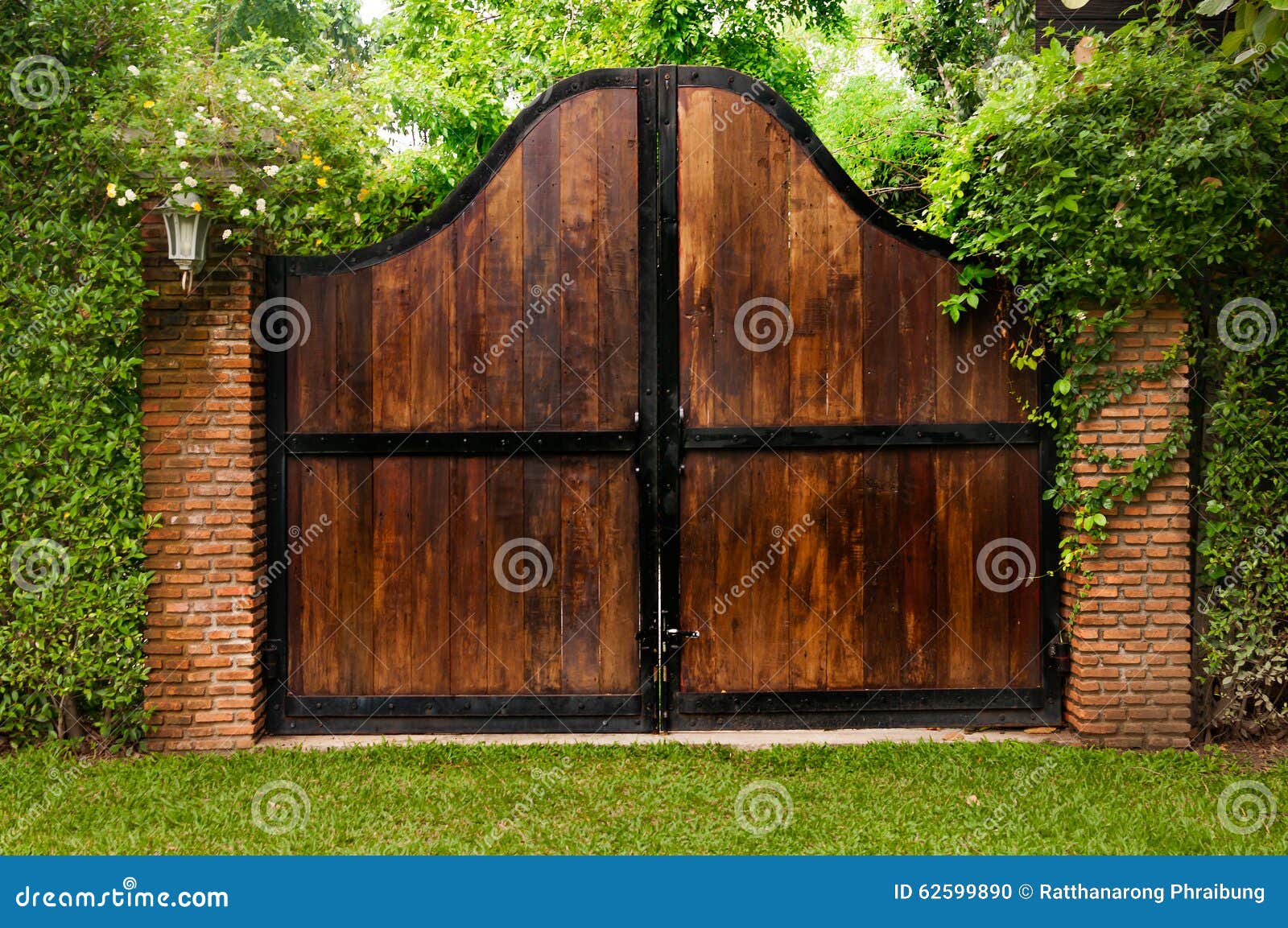Alte Holztür in Einem Garten überwältigt Mit Efeu Stockfoto Bild von