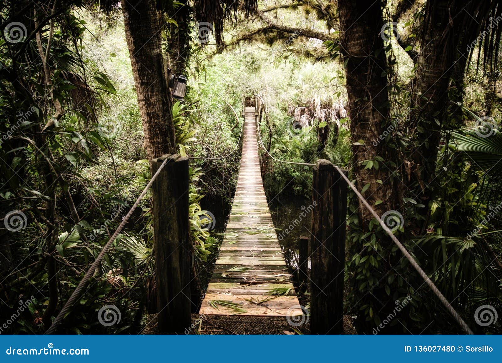 Alte Hängebrücke über Fluss. Alte hölzerne Hängebrücke über dem Estero-Fluss in Florida umgab durch die tropische stilisierte und desaturated Vegetation
