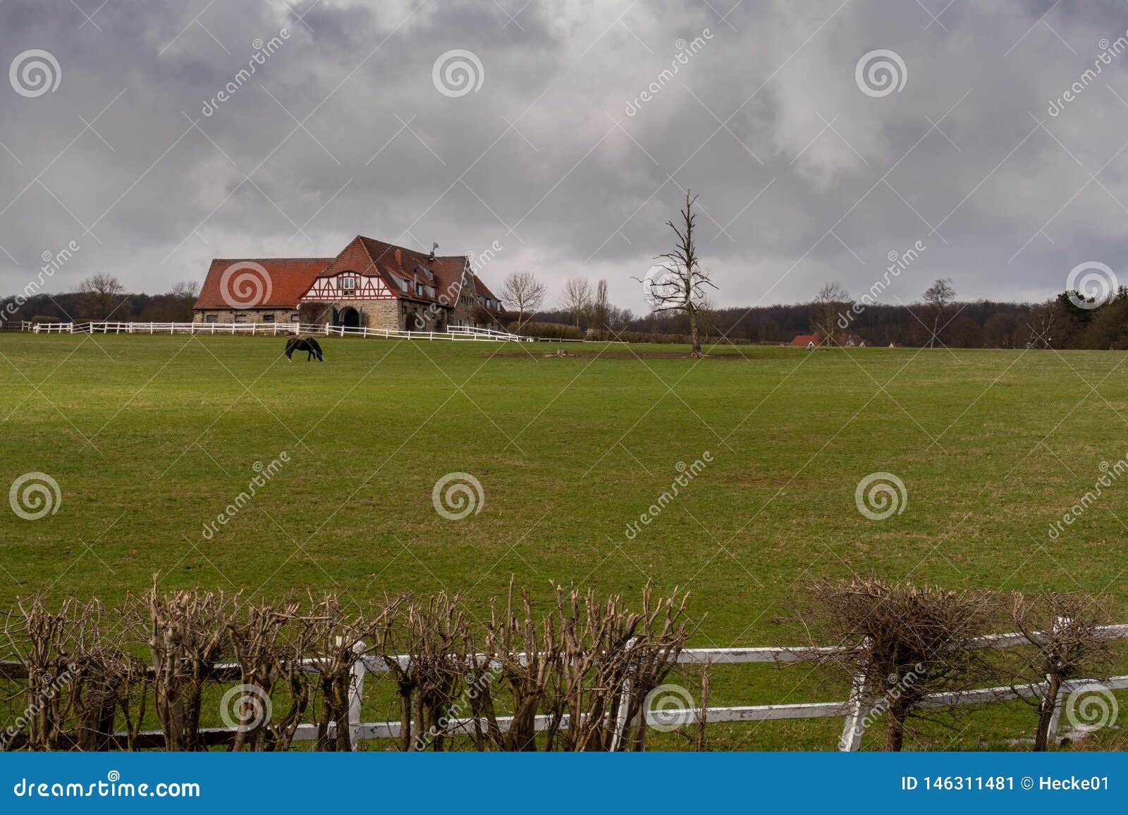 Altefeld Stud Farm in Hesse Stock Image Image of field, countryside
