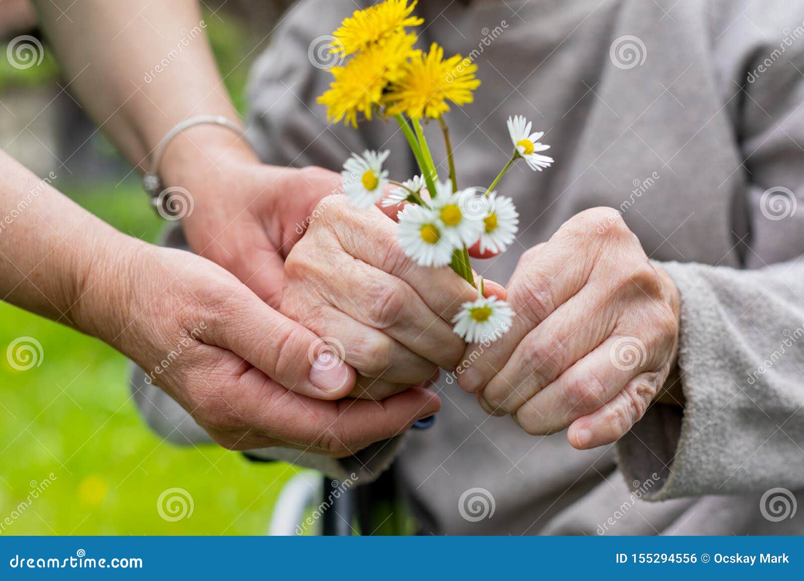 Altenpflege Hande Blumenstrauss Stockfoto Bild Von Blumenstrauss Altenpflege
