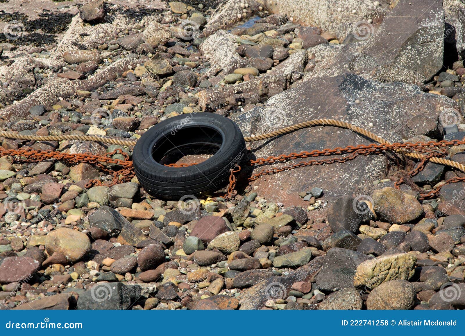 Alter Autoreifen an Einem Kleinen Hafen Stockfoto - Bild von algen