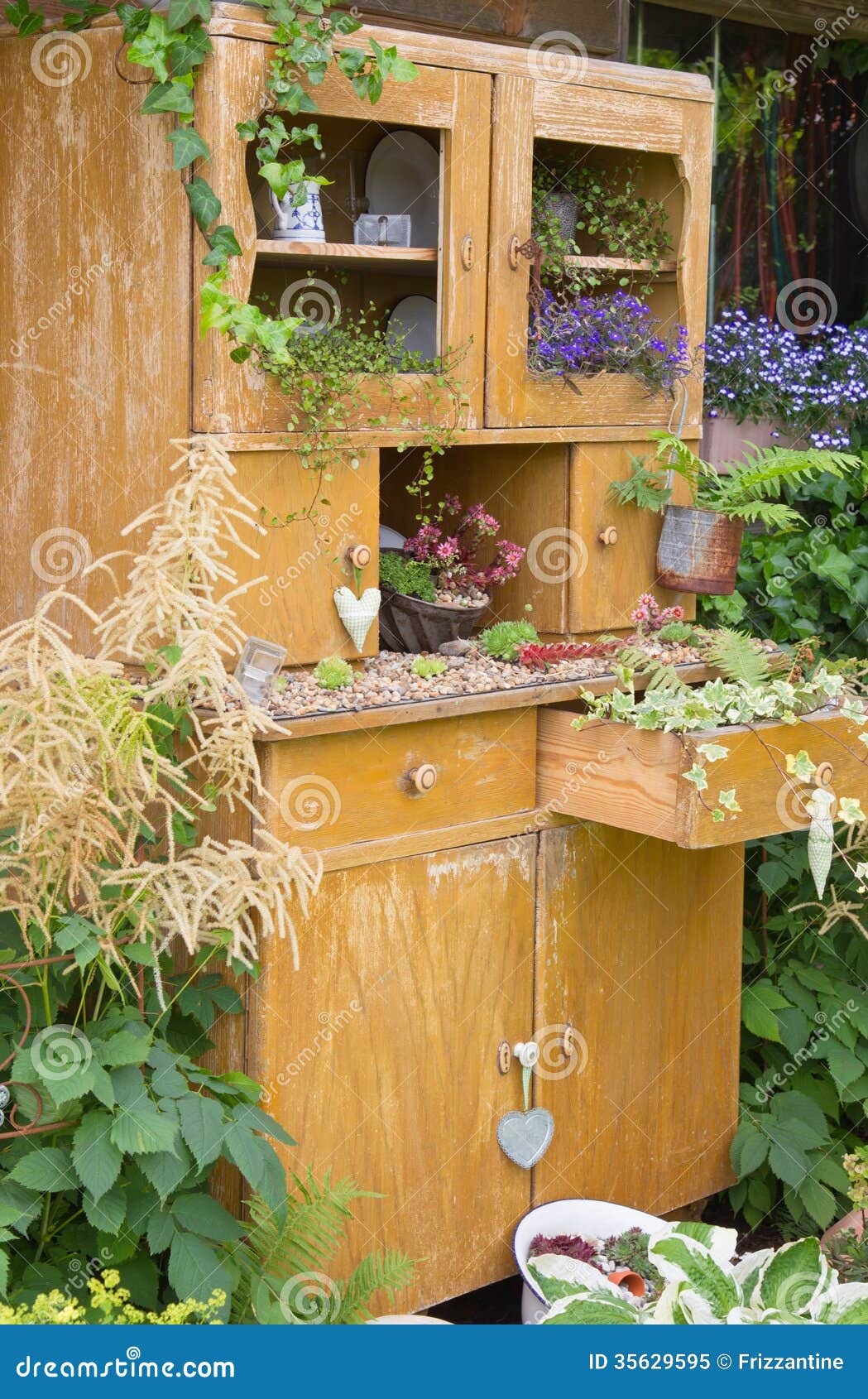 Alter Schrank Mit Dem Blumenwachsen Innerhalb Es Stockbild Bild von