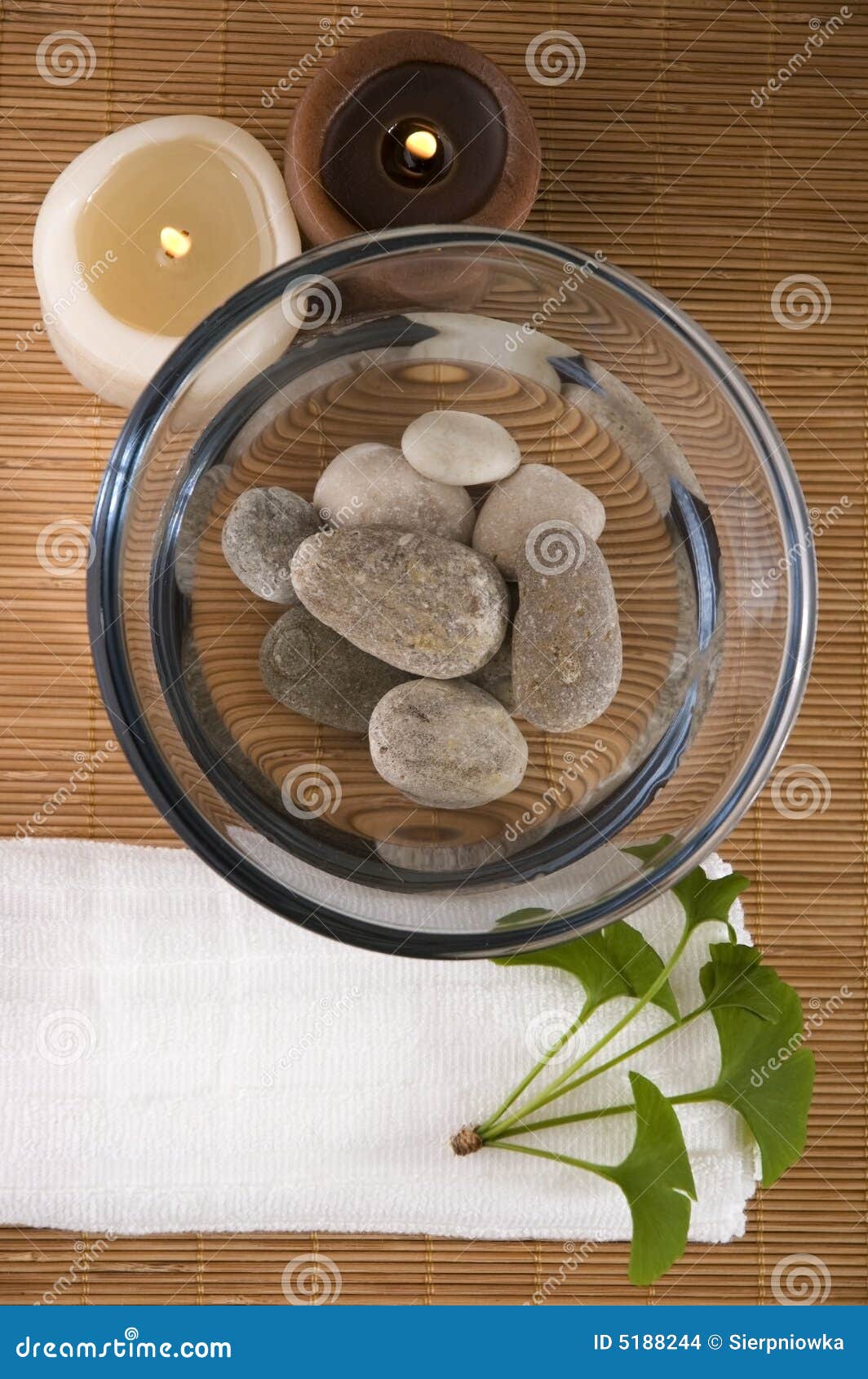 Alternative Medicine. Ginkgo Biloba Therapy Stock Photo Image of