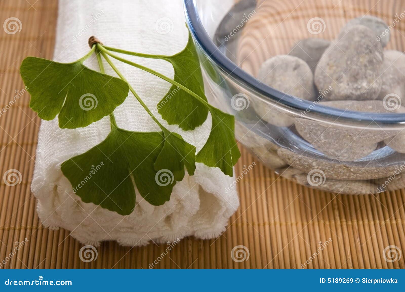 Alternative Medicine. Ginkgo Biloba Therapy Stock Image Image of care