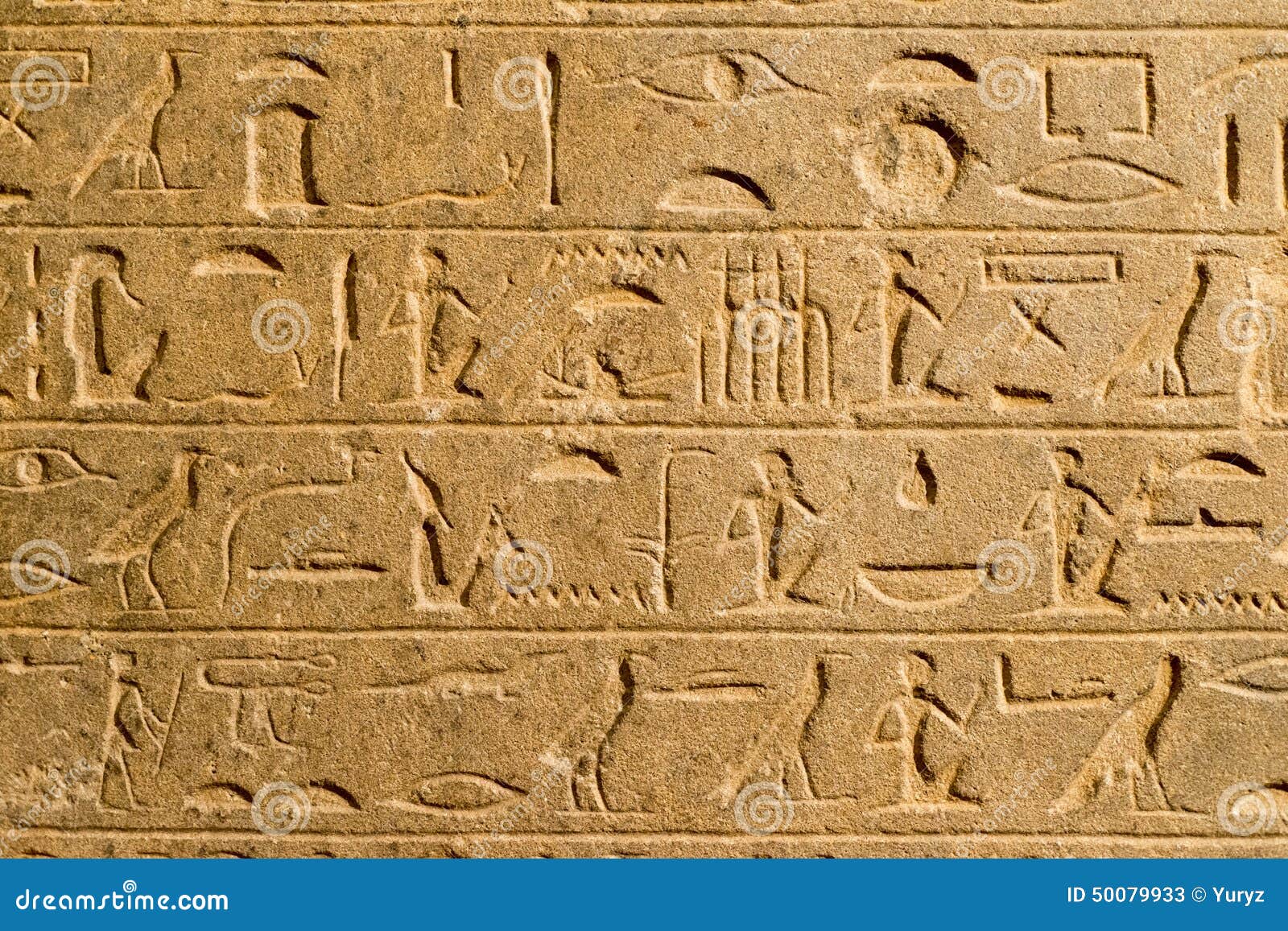 Altes Ägypten-Kalligraphie stockbild. Bild von menschlich - 50079933