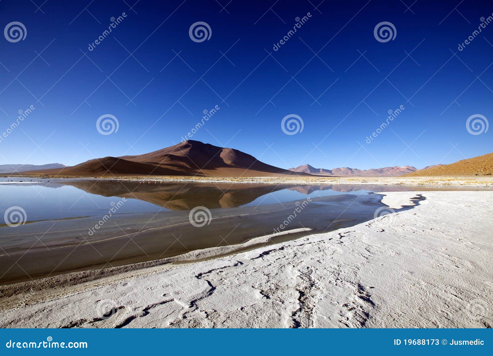 altiplano landscape