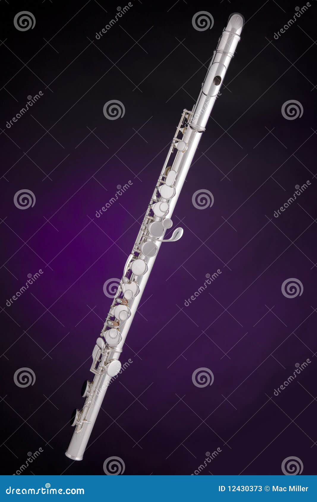 alto flute  on purple