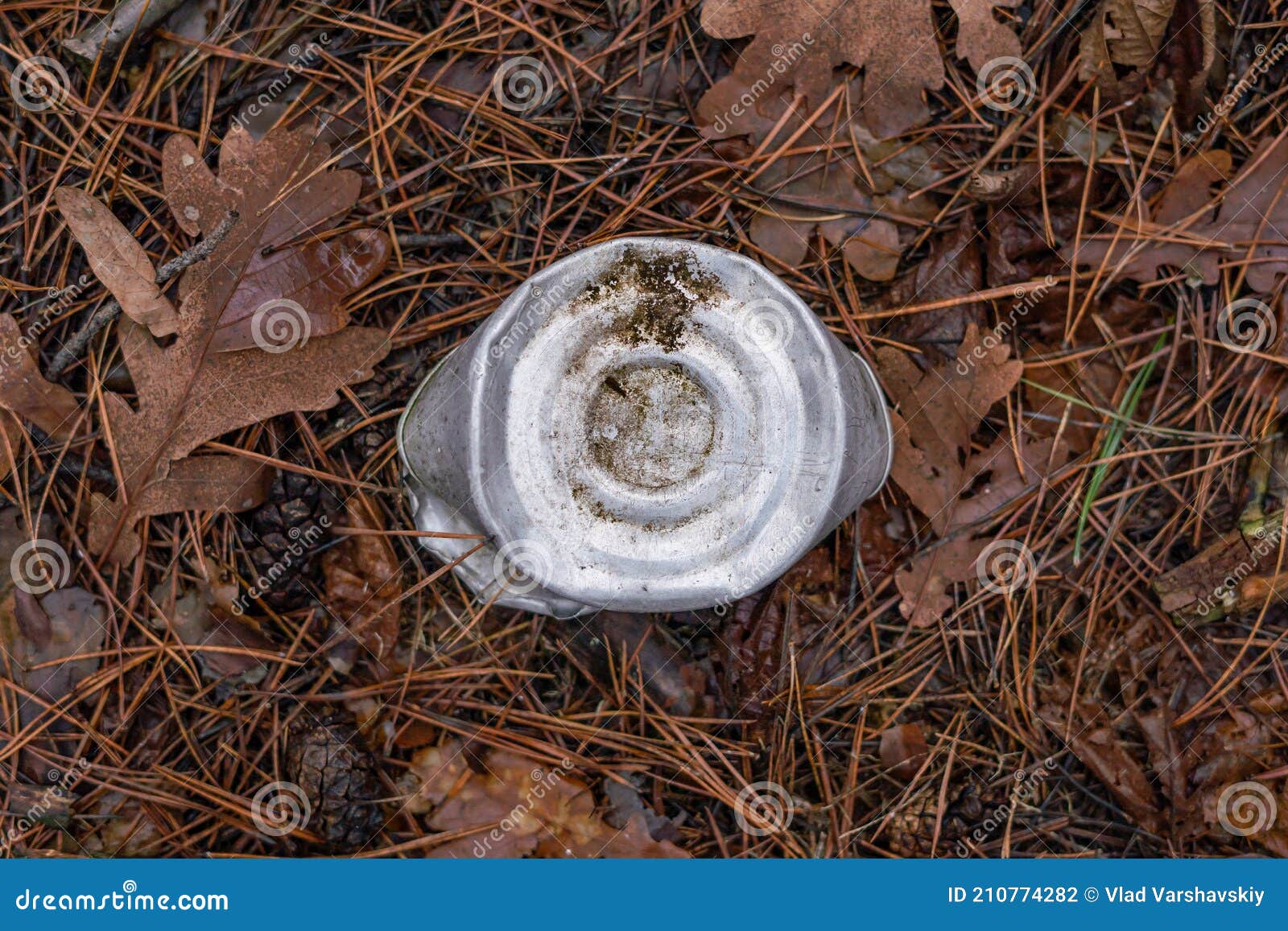 An Aluminum Tin Can Lies on the Ground in the Forest Stock Photo