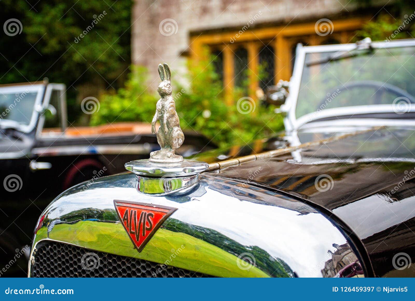 Auto-Emblem - Kaninchen auf einem Oldtimer Alvis Stockfotografie