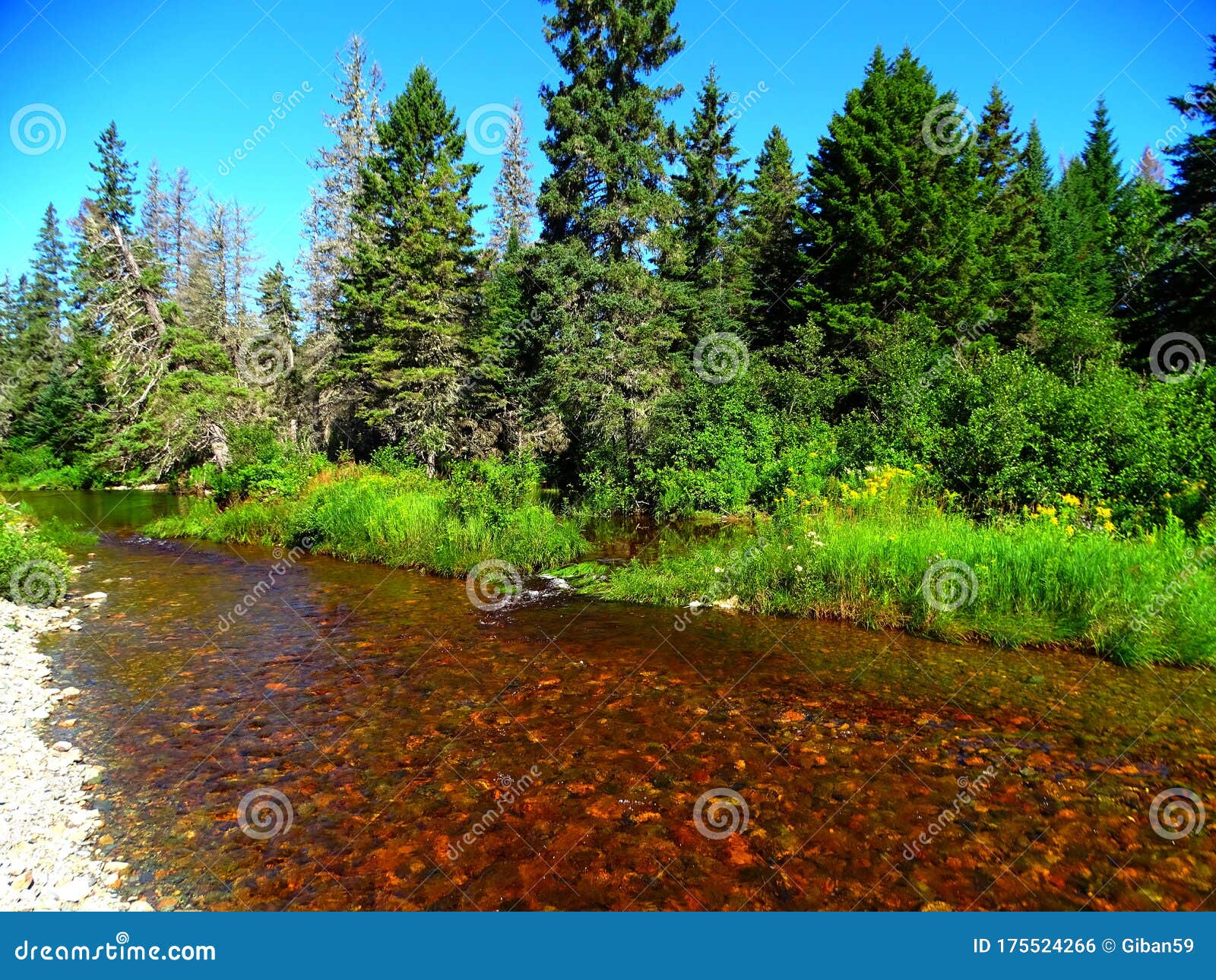 Fotos de Fundy National Park: Ver fotos e Imágenes de Fundy