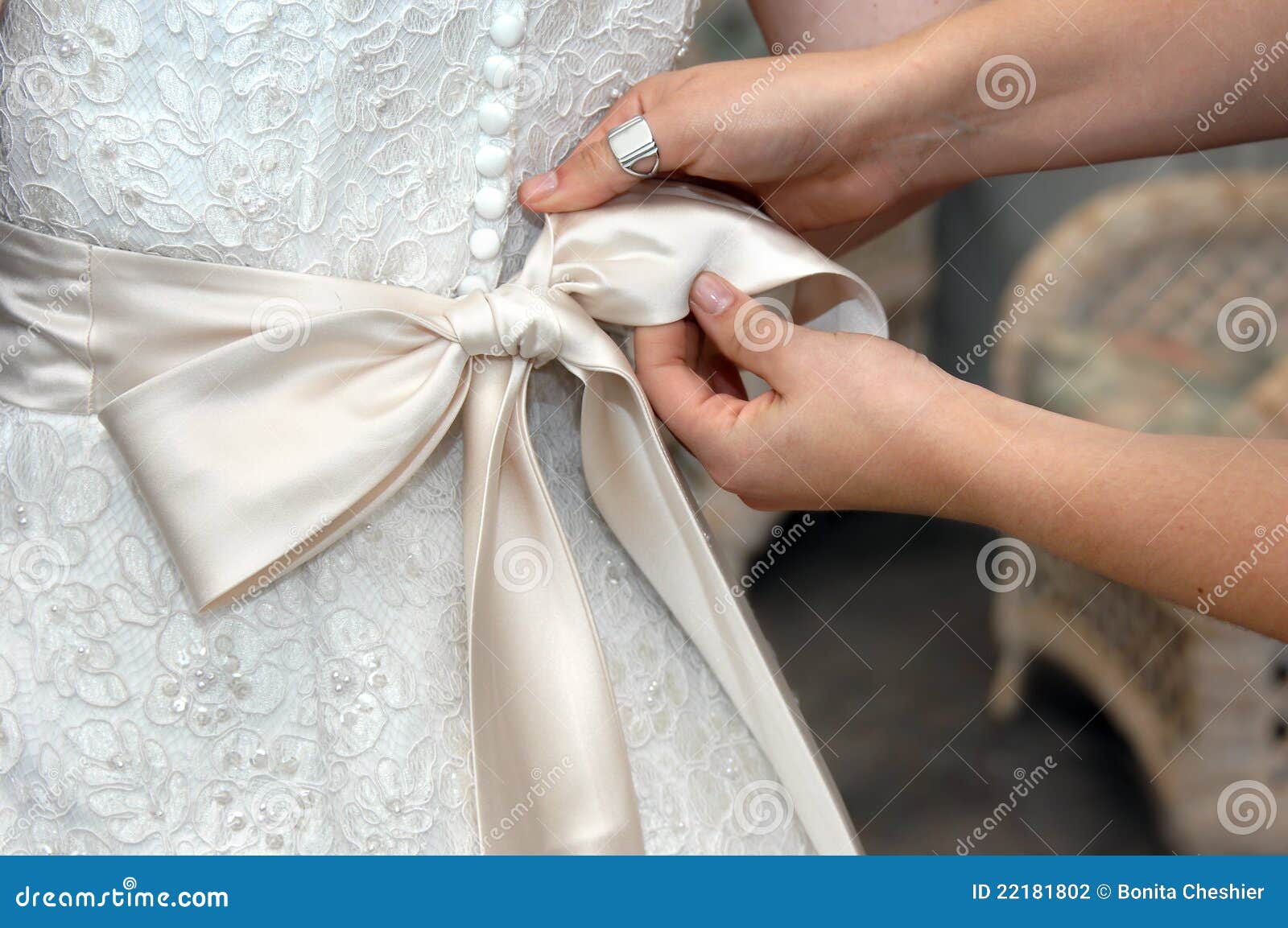 Amarração da curva. As mãos amarram a curva do cetim do vestido de casamento. Close up das mãos fêmeas que dão laços em laços na curva elegante.