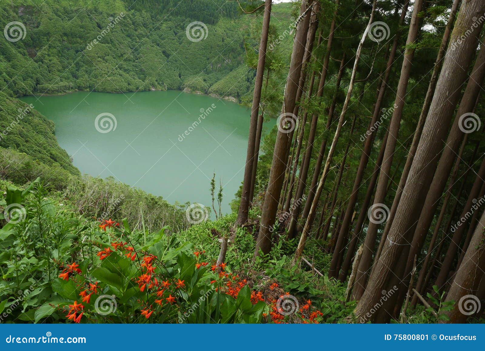 amazing beautiful landscape view of green lagoon lagoa do rasa o