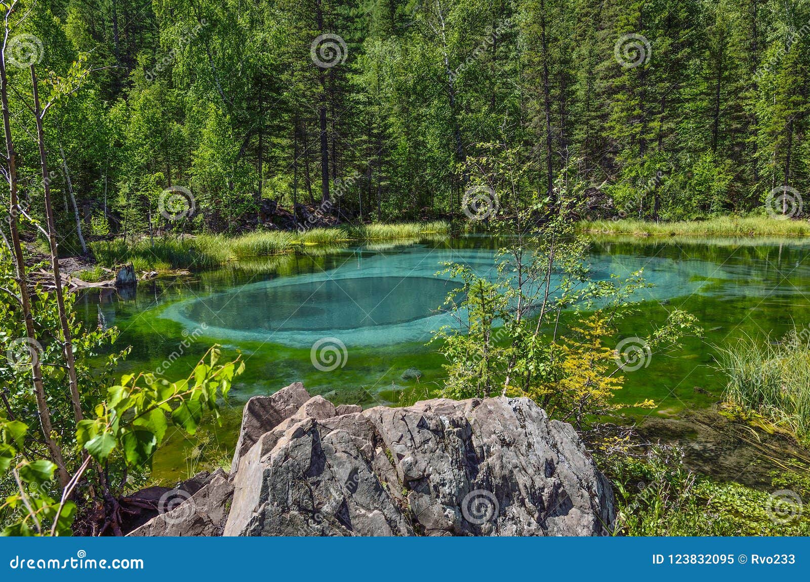 Amazing Blue Geyser Lake In The Mountains Of Altai Russia Stock Image