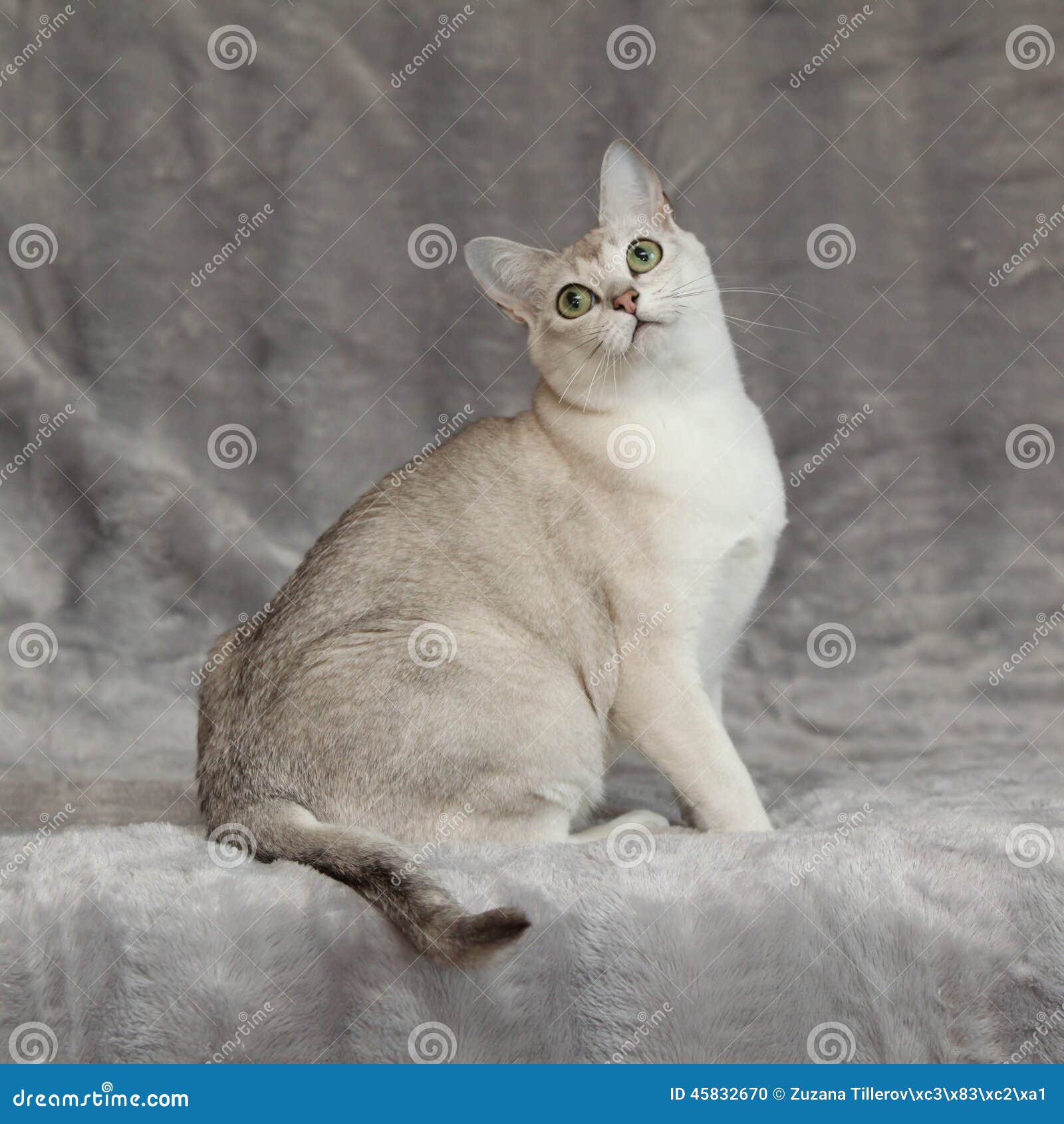 Marine Exhaust Insulation Blanket Silver 11-1/2"x36" | eBay