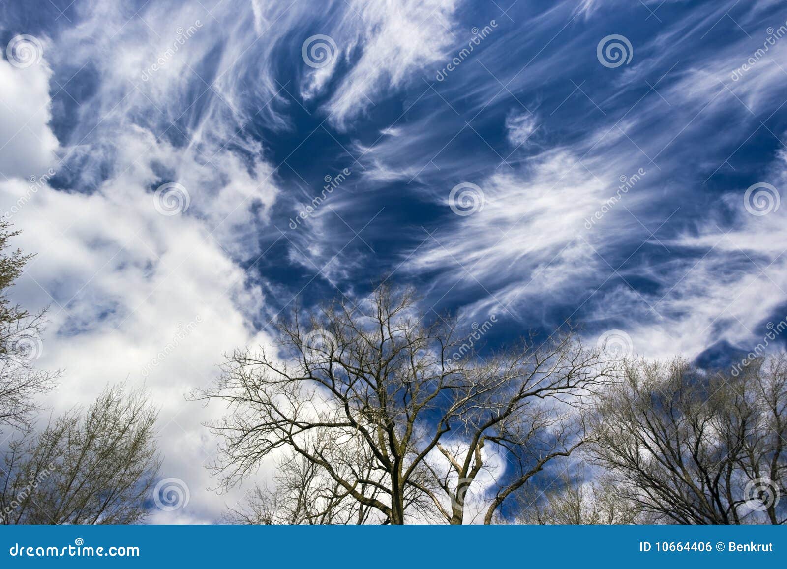 amazing cirrus clouds