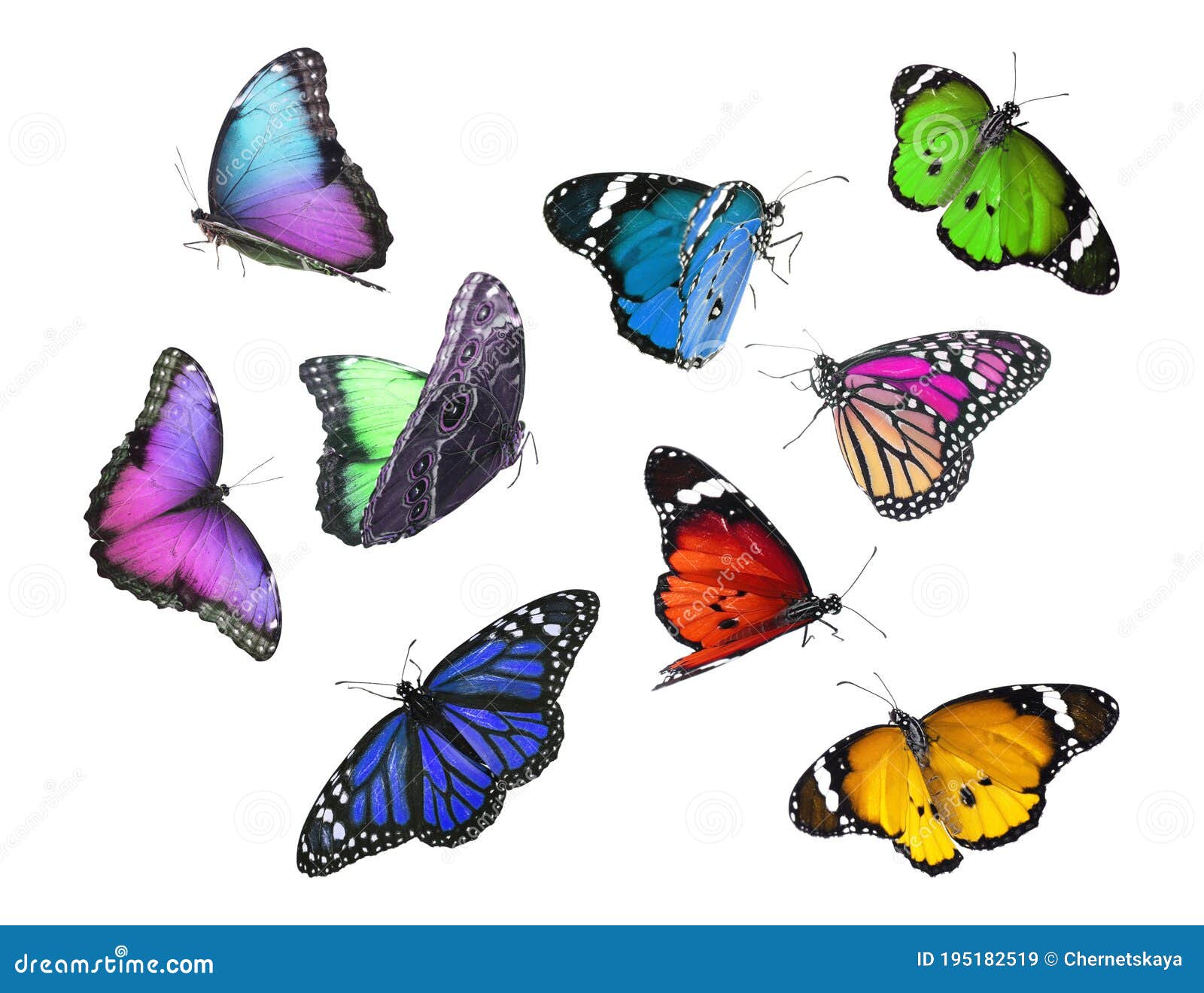 Amazing Different Butterflies Flying on Background Stock Image Image