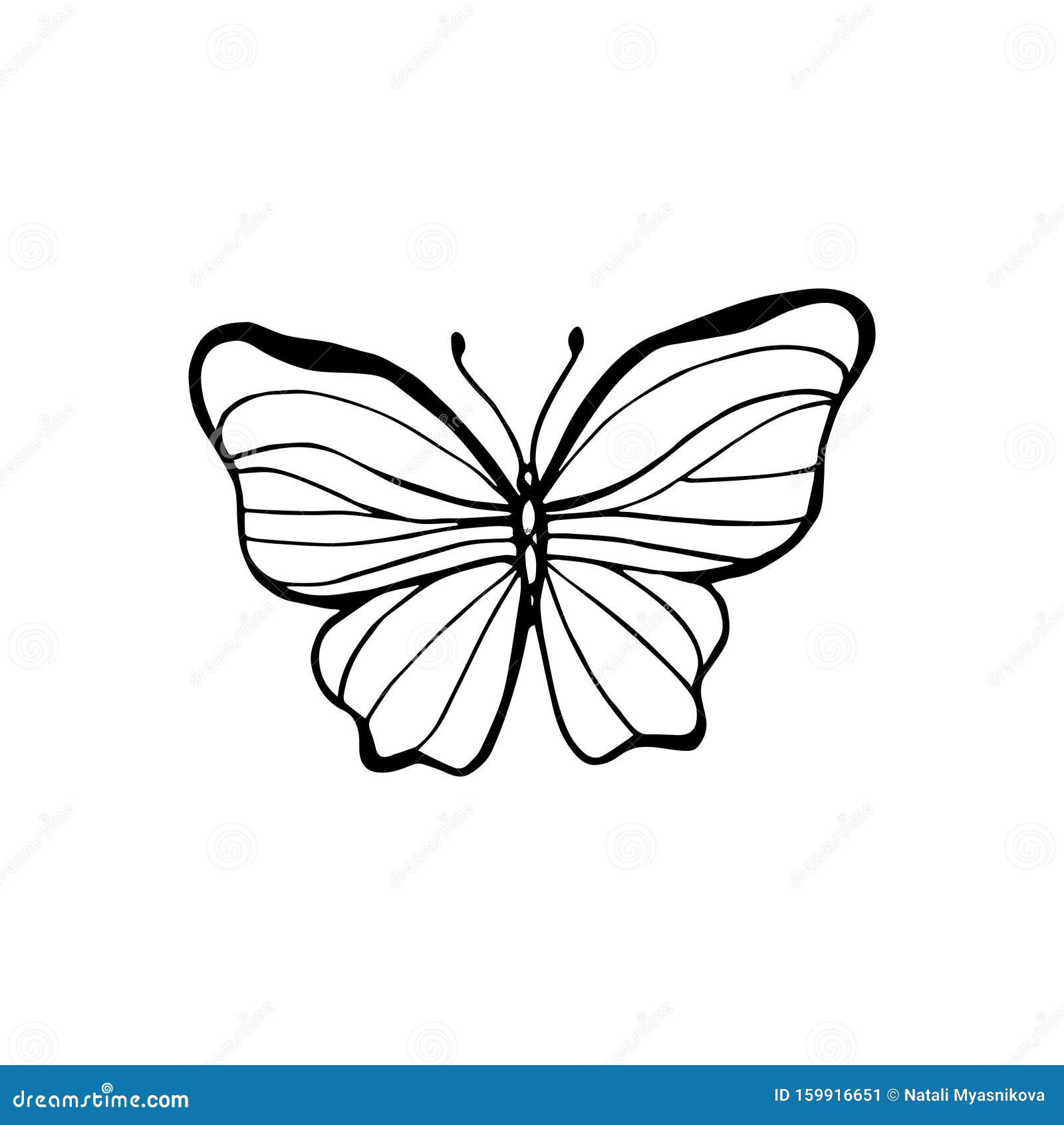 Download Amazing Fly Butterfly With Dots, Spirals, Triangles. Wild ...