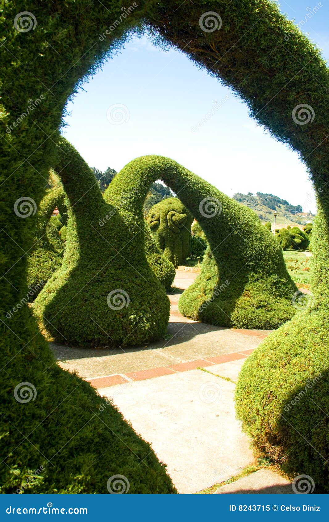 Garden with trimmed shrubs stock image. Image of bushes - 8243715