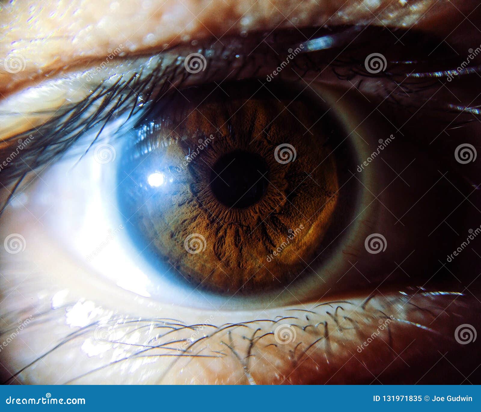 Amazing human eye in macro stock image. Image of macro - 131971835