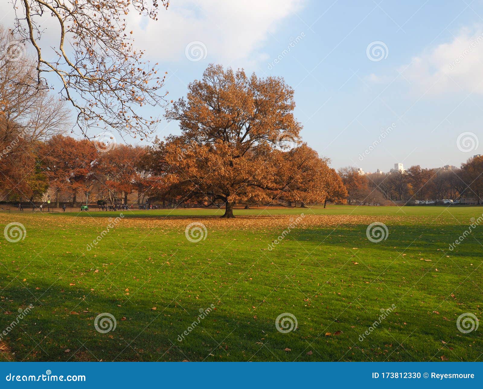 amazing lanscape in ny.