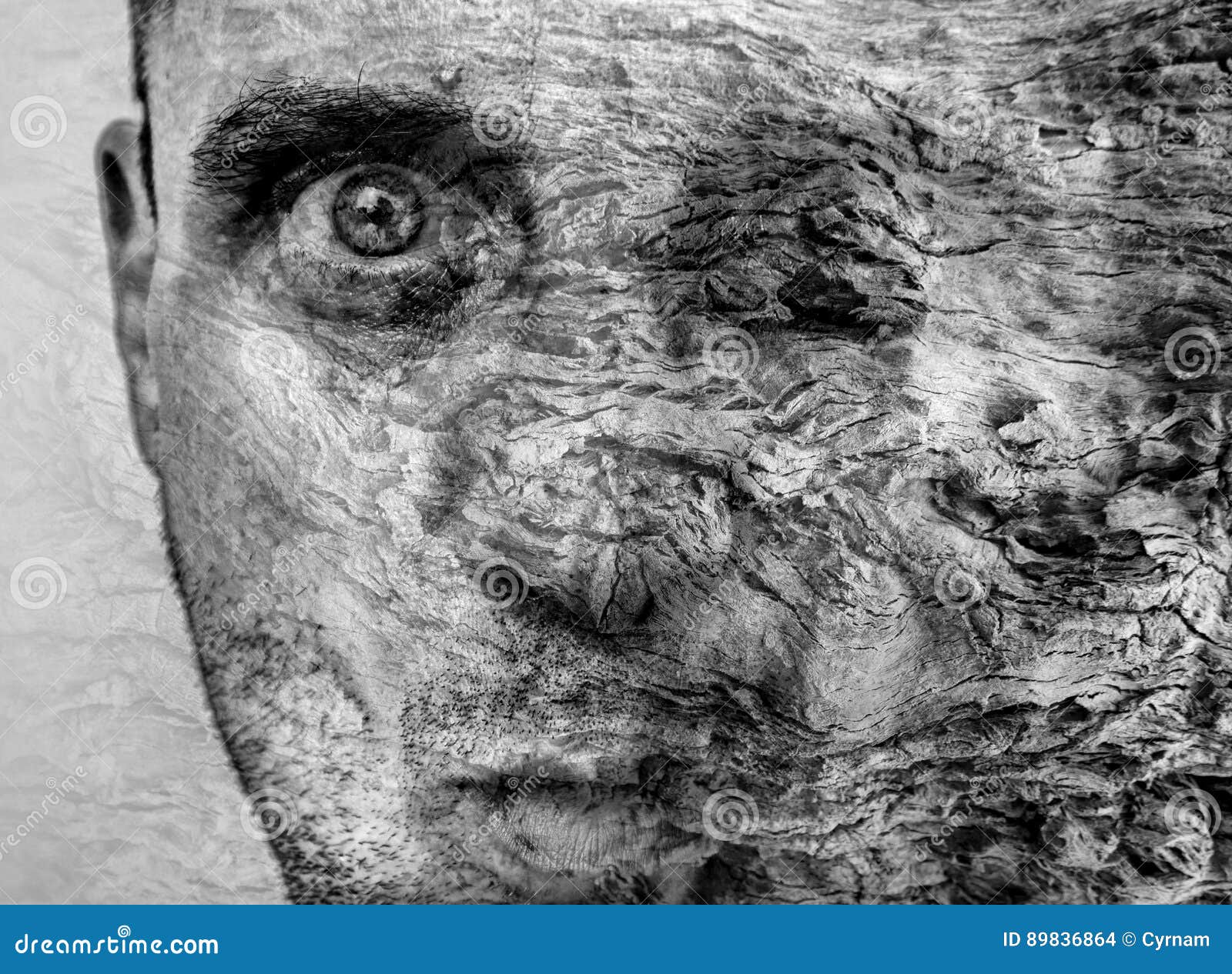 amazing metamorphosis of man becoming tree, graphic art, beautiful and unique tree bark texture on human face