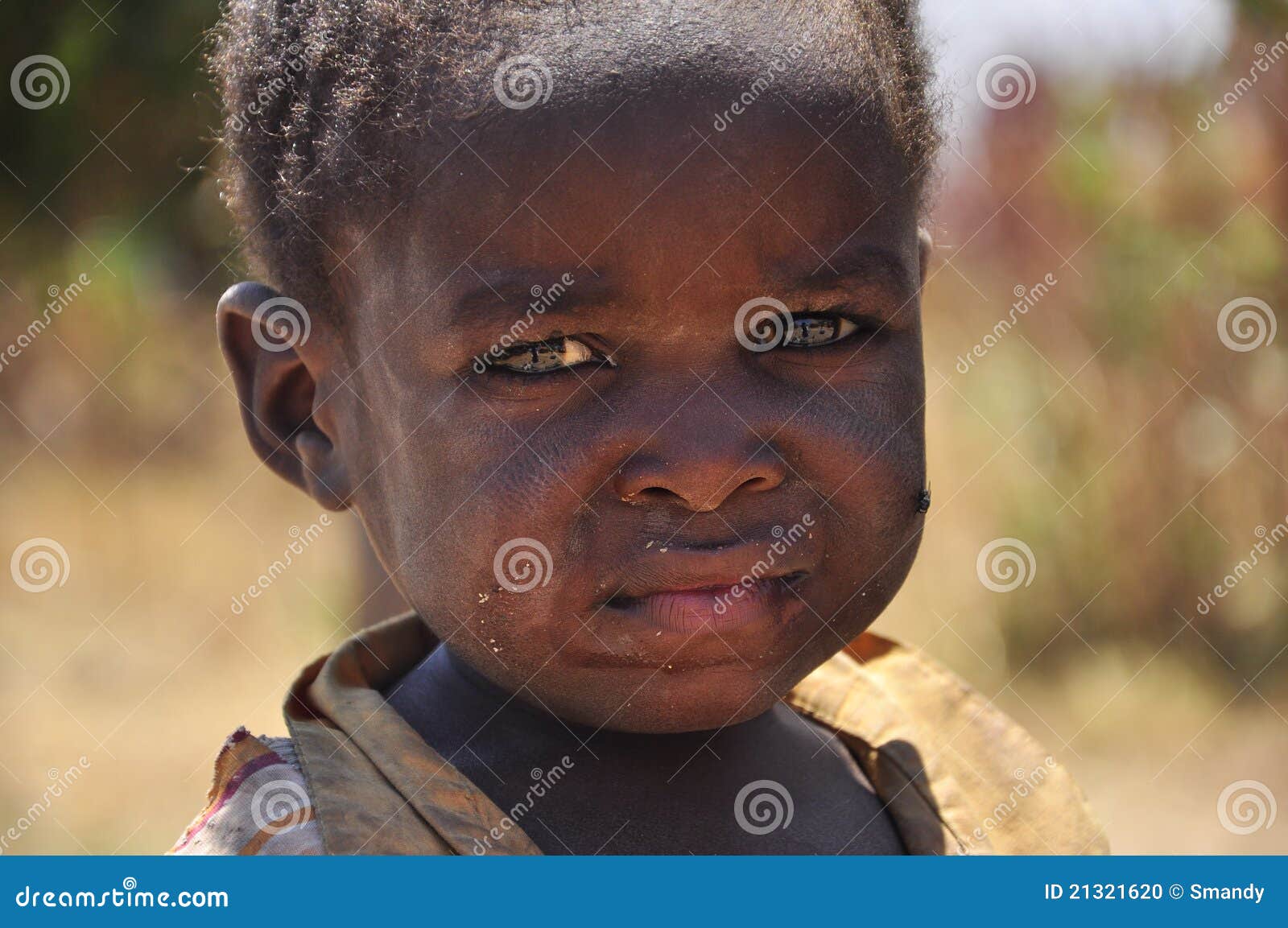 Amazing Portrait of Beautiful African Boy Editorial Image Image of