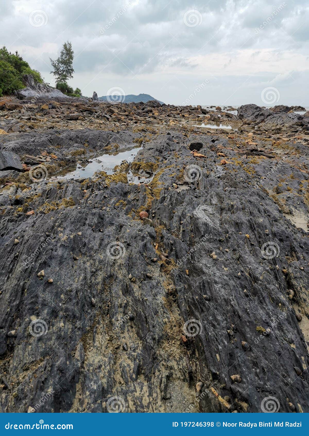 amazing rock formation from triassic period in kuala sedili besar, johor, malaysia.