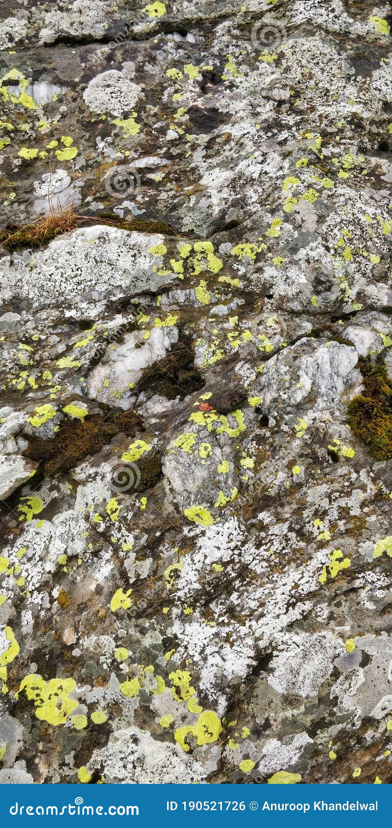 Amazing Rock Texture of Indian Himalayan Mountain. Stone Background  Wallpaper for Mobile Stock Photo - Image of elegance, detail: 190521726