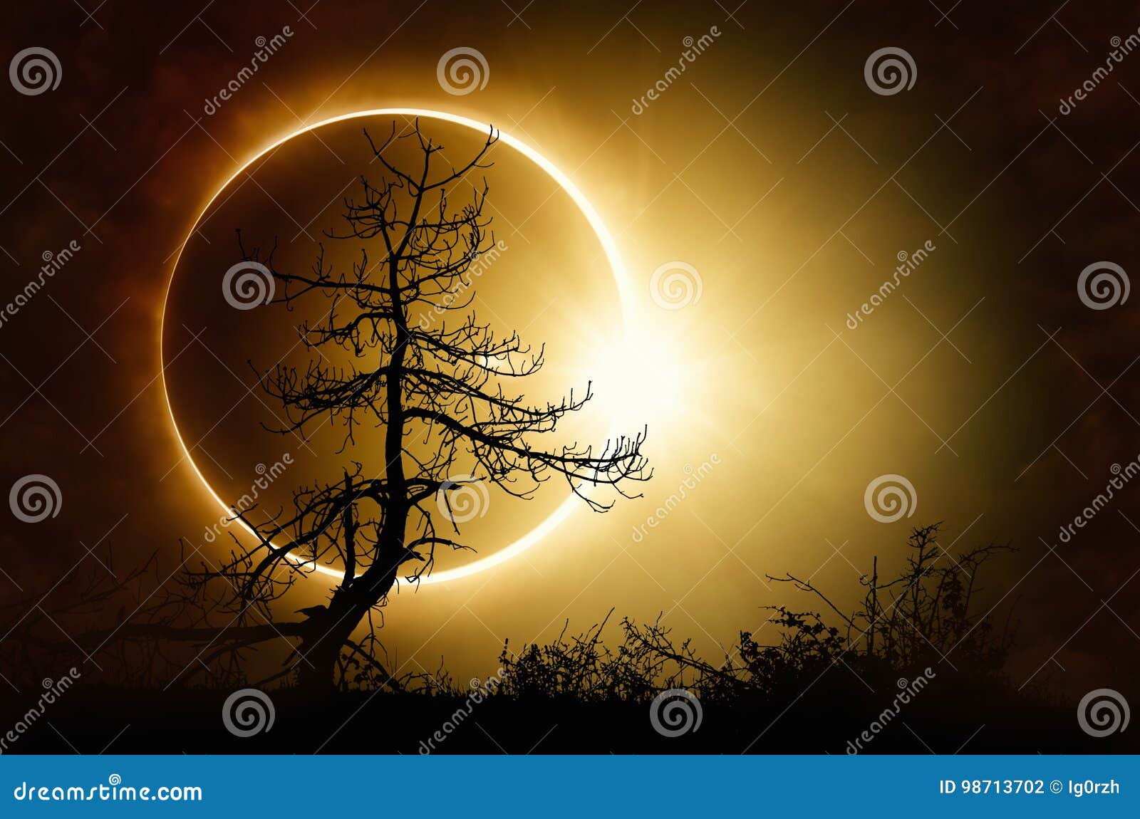 total solar eclipse in dark sky