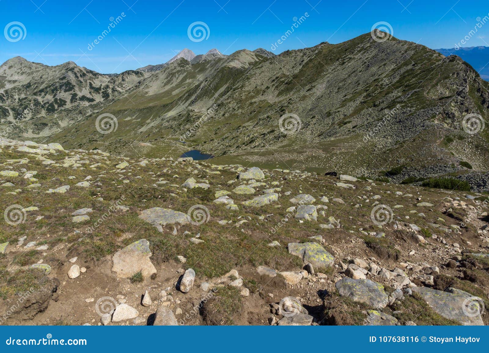 Summer Landscape of Green Hills of Pirin Mountain, Bulgaria Stock Photo ...