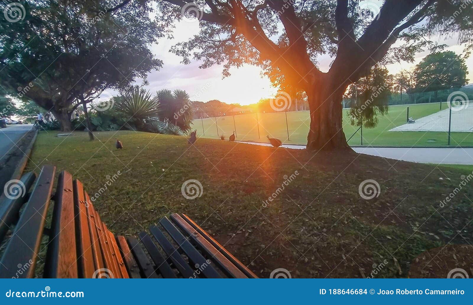 View from a Park Bench of a Amazing Sunset Stock Photo Image of