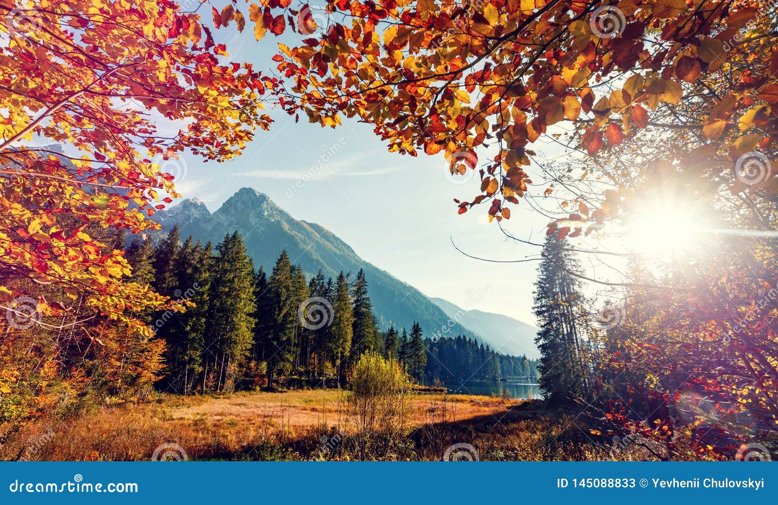 Amazing Sunset on Mountain Lake in Forest Stock Image - Image of autumn, landscape: 145088833