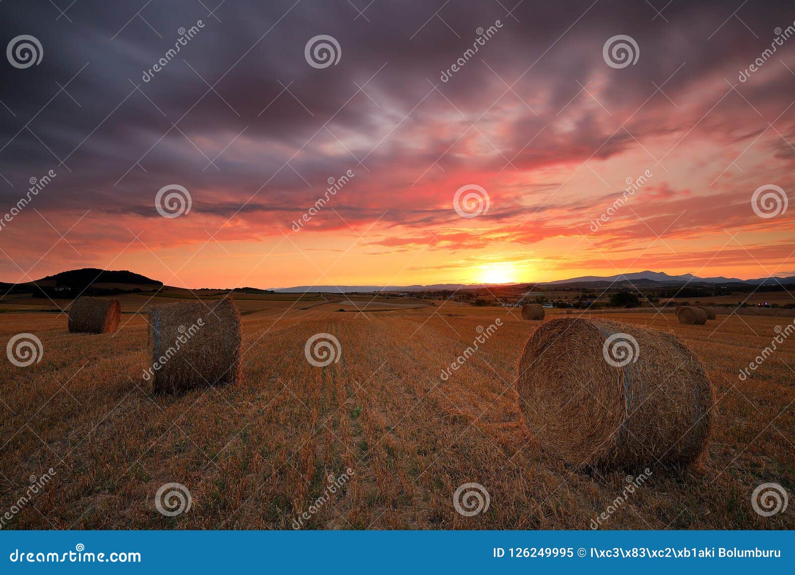 amazing sunset over a field at harvest time
