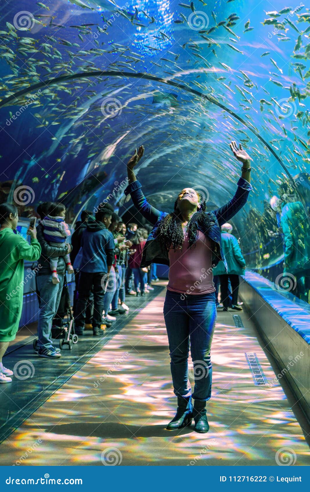 People Stand in Awe in a Tunnel of Plexiglass Showing Sea Creatures at ...