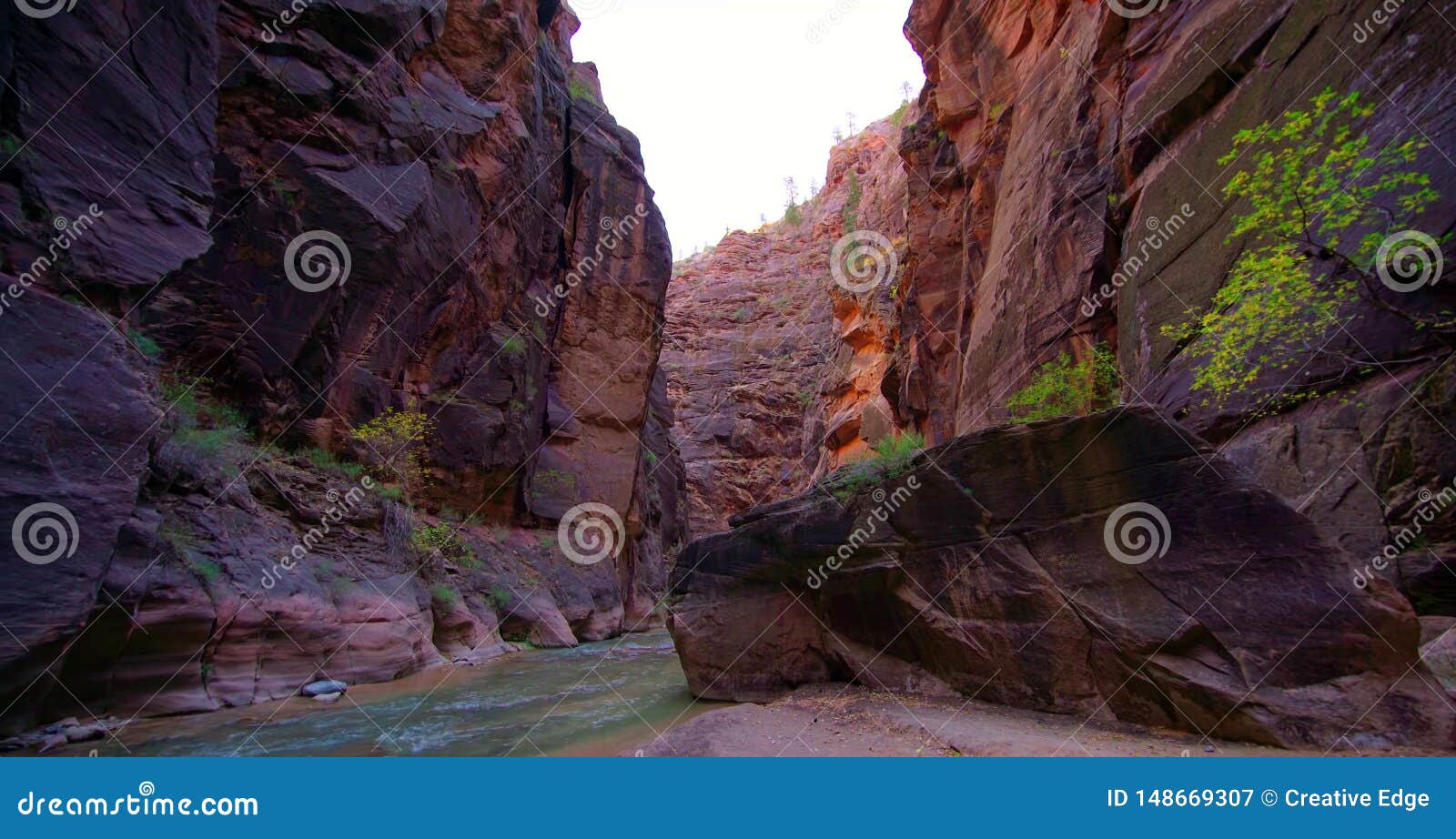 Amazing View Of The Narrows Zion National Park Utah Stock Image