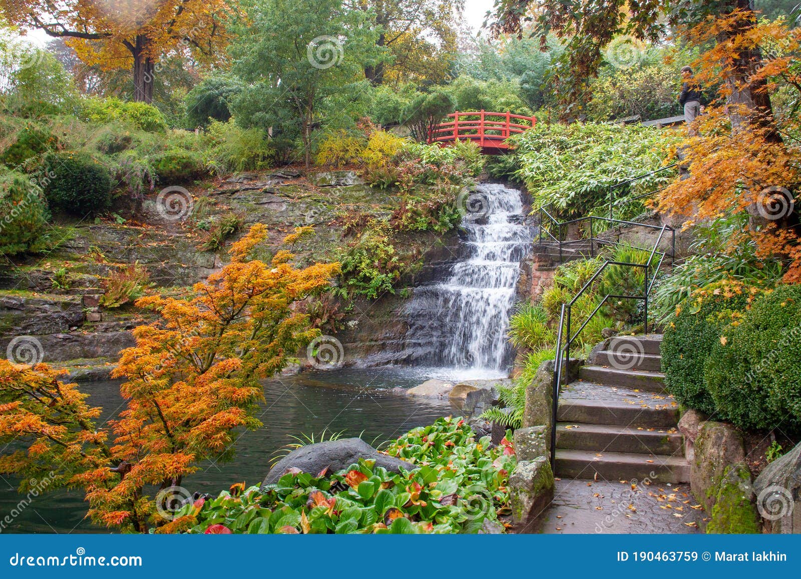 Amazing Waterfall in Japanese Garden of Kaiserslautern Stock Image ...