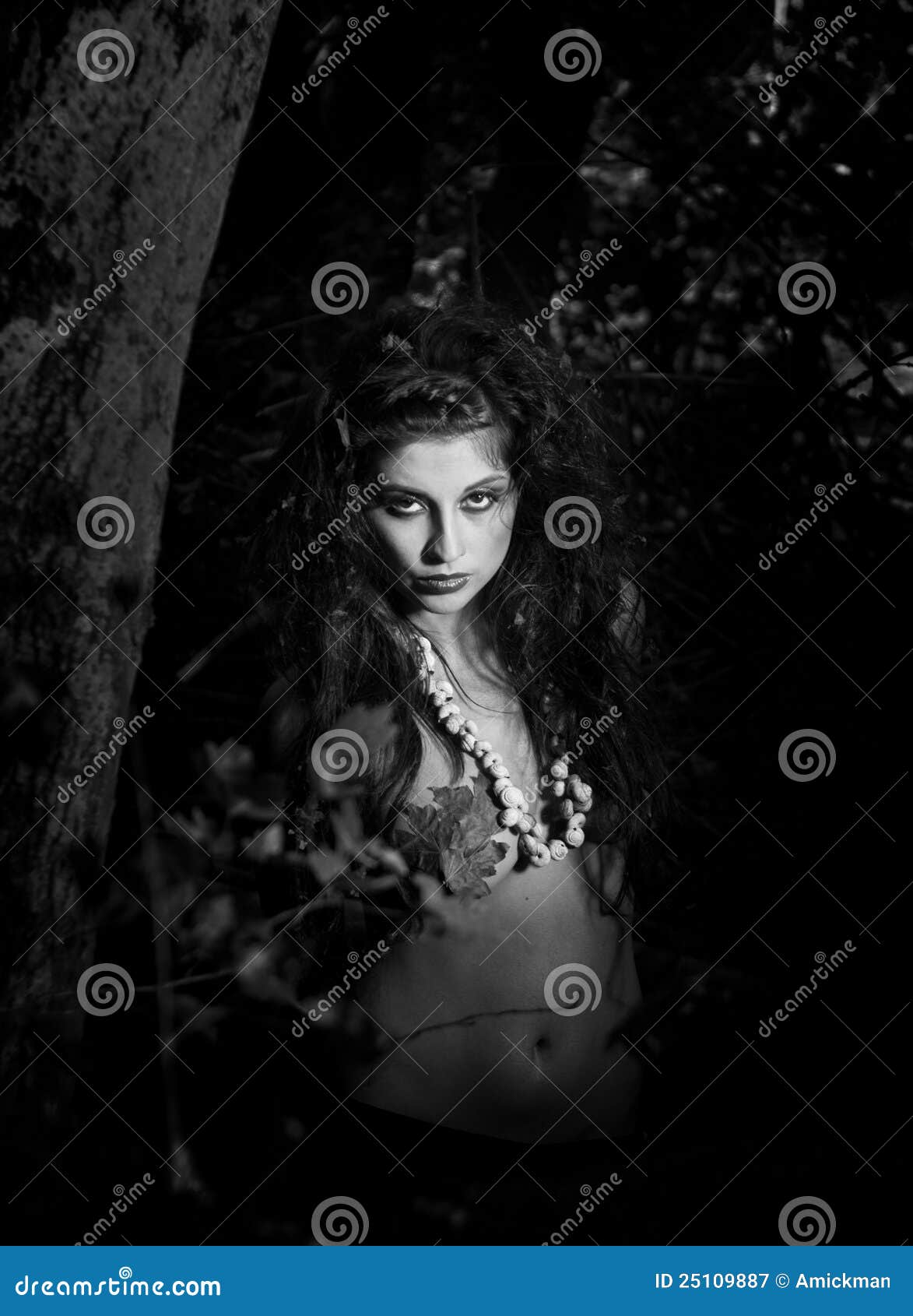 Amazon Stock Image. Image Of Beauty, Beautiful, Fashion - 25109887