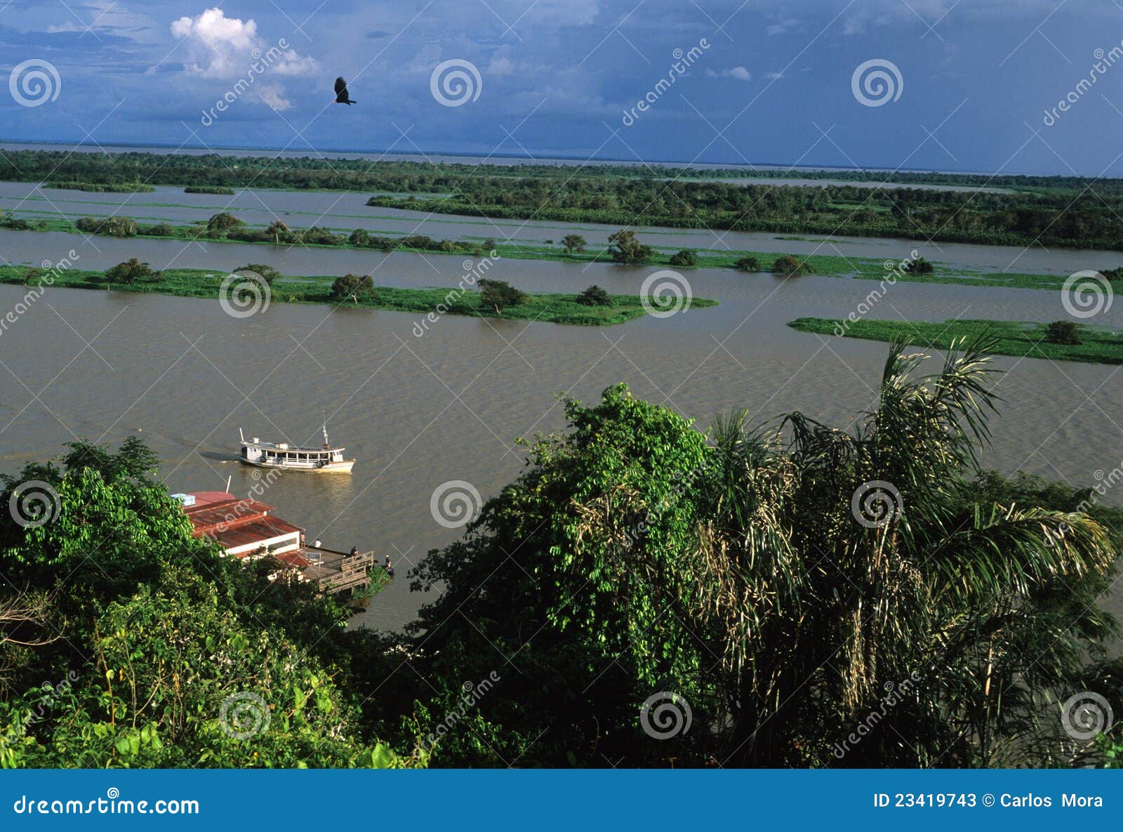 Amazon Basin. Brazil editorial stock photo. Image of brasil 23419743