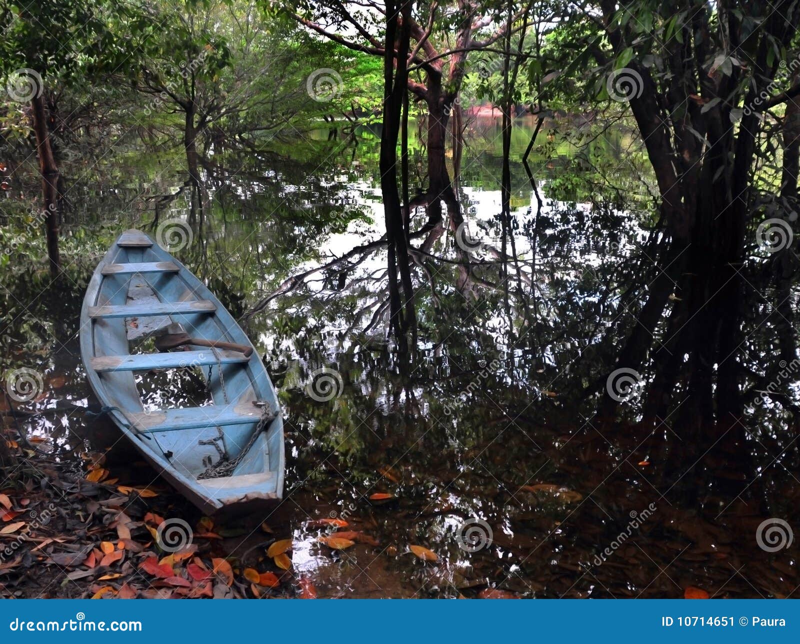 Canoe of Amazonia stock image. Image of dream, boat, amazonia 10714651